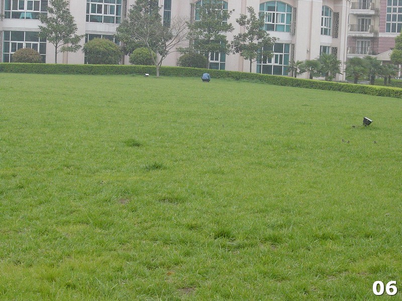 06.jpg