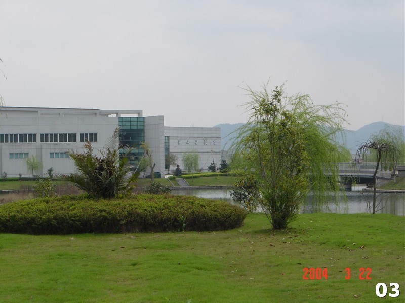 03.jpg