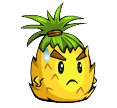 20004.png