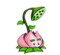 20017.png