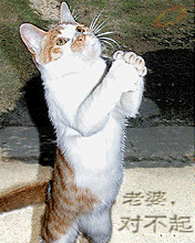 1_100721151742_3.gif