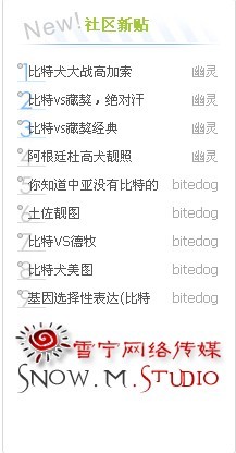 discuzbug.jpg