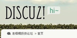 老梧桐dz.jpg