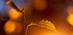 common_49_icon_副本.jpg