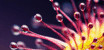 common_106_icon_副本.jpg