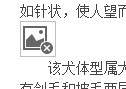 未命名.jpg