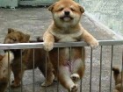 HEHE