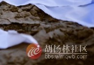 未命名.jpg