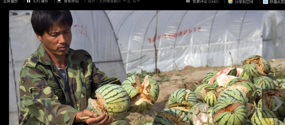QQ截图未命名.png