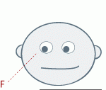 6.gif