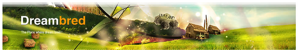 header.jpg
