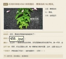 未命名.jpg