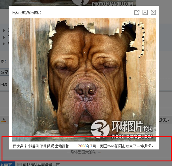 QQ截图20110828065050.png