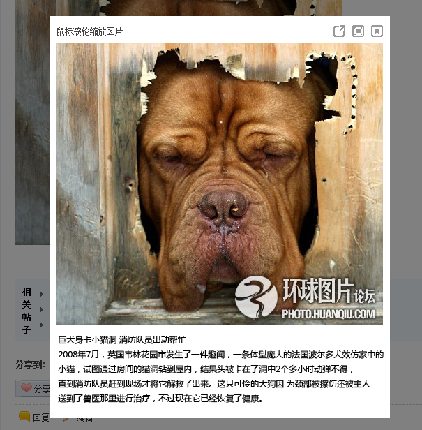 QQ截图20110828065509.png