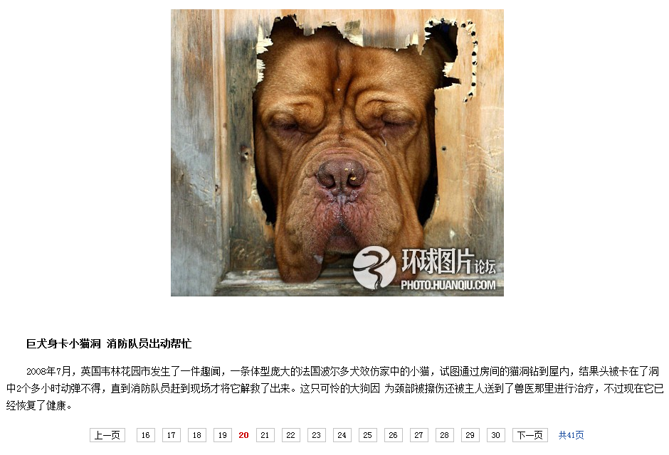 QQ截图20110828070102.png