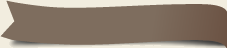 side_yuanchuang_top.png