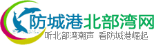 logo.png