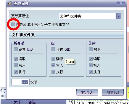 3.jpg