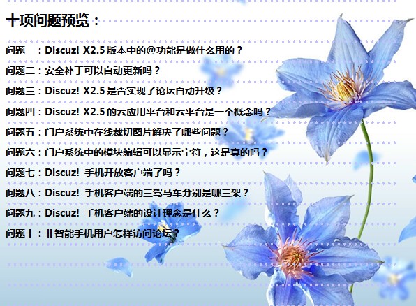 十项问题预览.jpg