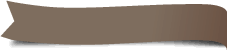 side_yuanchuang_top.png