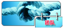 团队.png