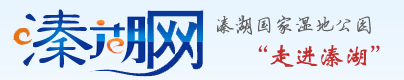 comiis_logo.jpg
