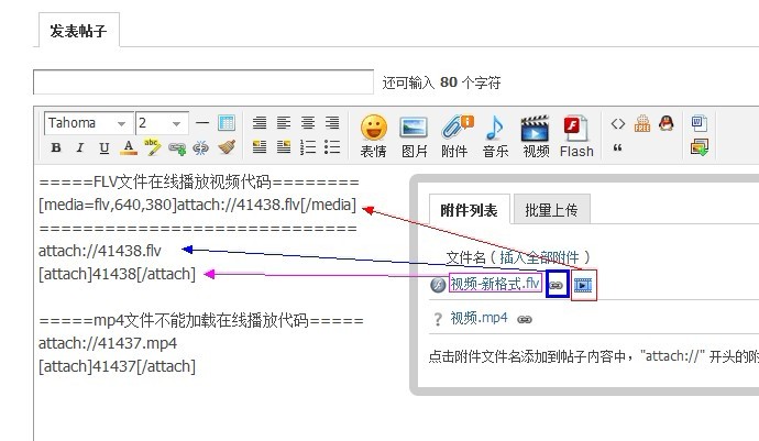 视频格式的支持.jpg