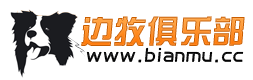 边牧俱乐部.png