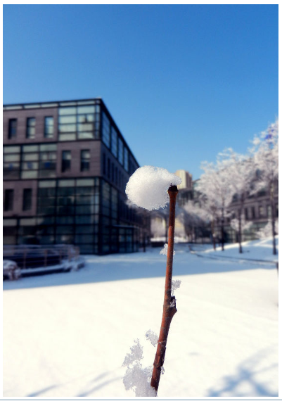 2012-03-26_210542.png