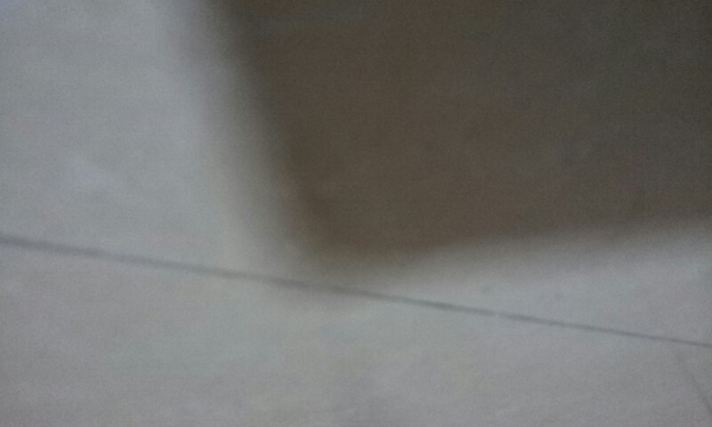 IMG20120401040217.jpg