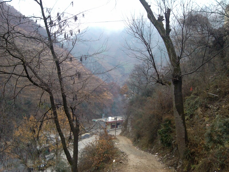 IMG20120407011417.jpg