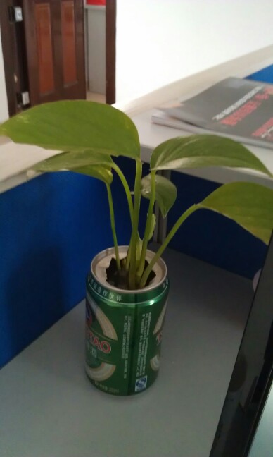 IMG20120416165750.jpg