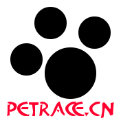 8252624_564556.png