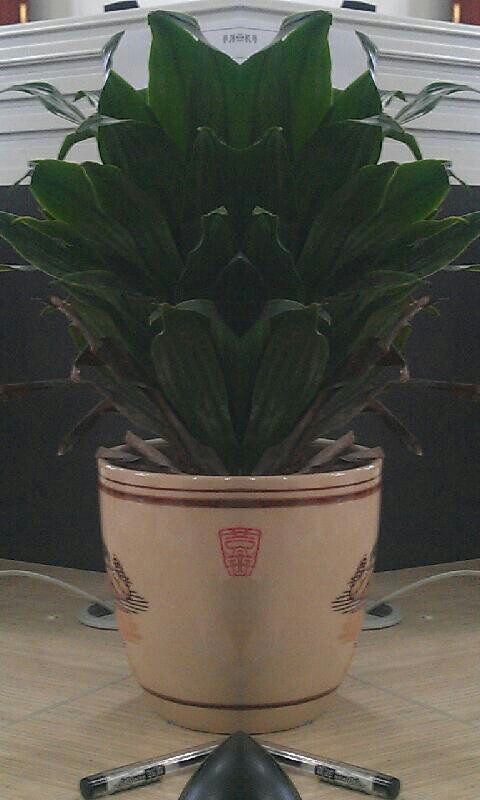 IMG20120429134813.jpg