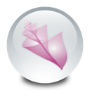 Adobe Bridge[1].png