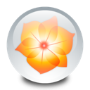 Adobe Illustrator[1].png