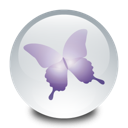 Adobe InDesign[1].png