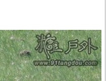 {@}1@1_T8[QH]B{XI9SHT.jpg