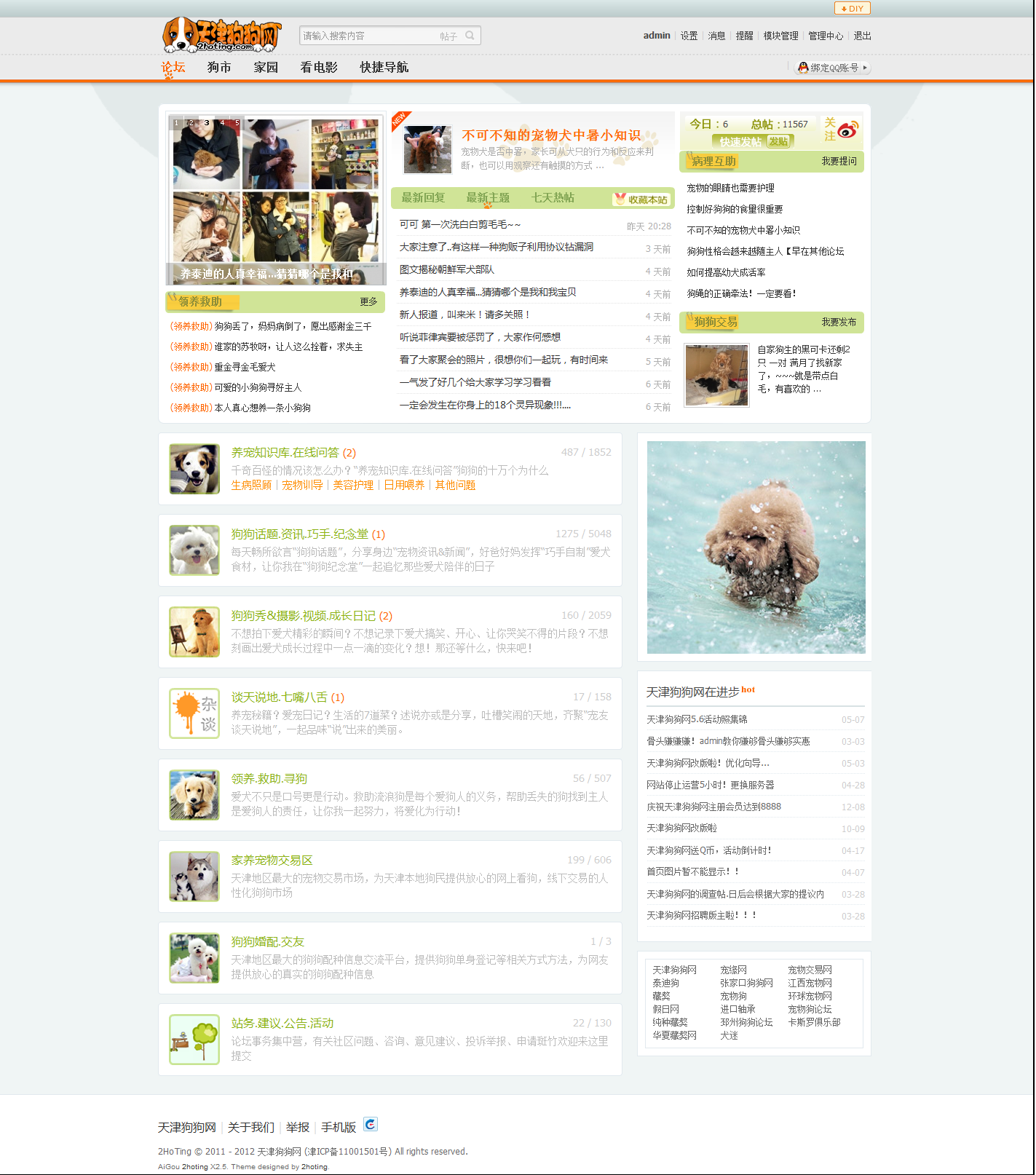 天津狗狗网 2hoting_com丨天津宠物网丨天津宠物交易（买狗卖狗）丨天津狗狗论坛丨天津.png
