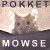 200631522245320.gif