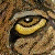 200631522249729.gif