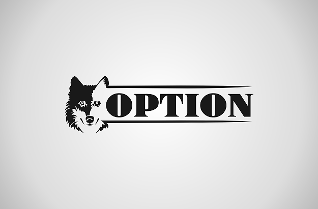 OPTION.png