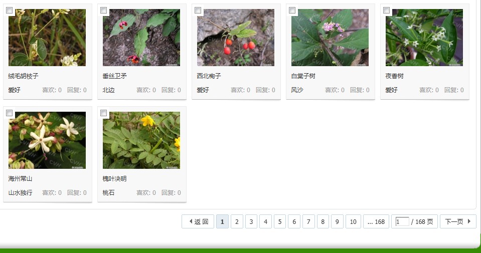 图片模式.jpg