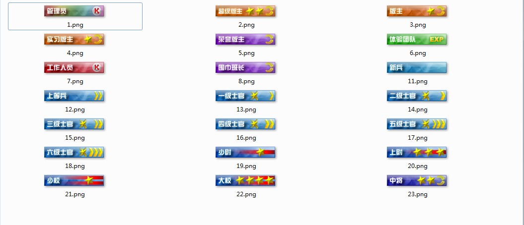 有同学需要的精美的军衔等级图标