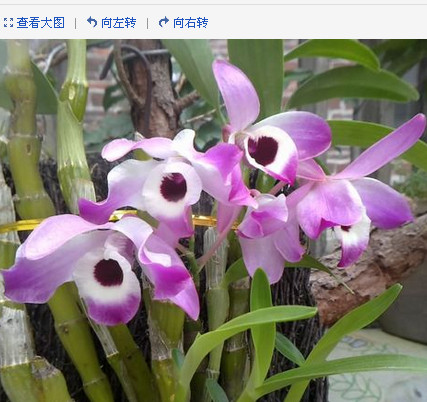 2013-03-26_191652.jpg
