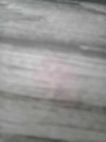 2013-04-26 11.10.06.jpg