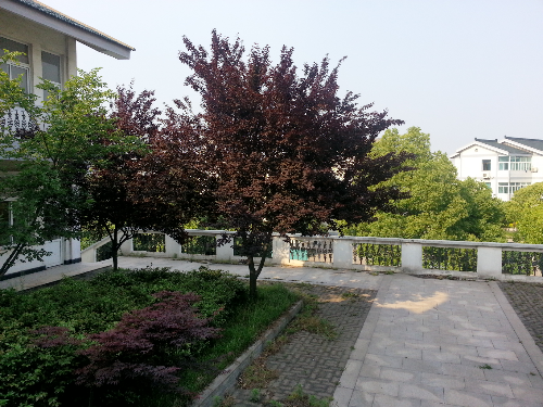 20130514_160745.jpg