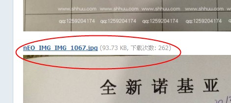 54545.jpg