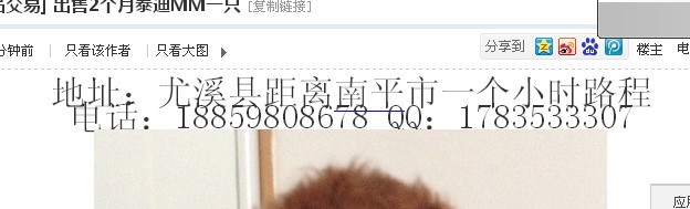QQ图片20130909080008.jpg