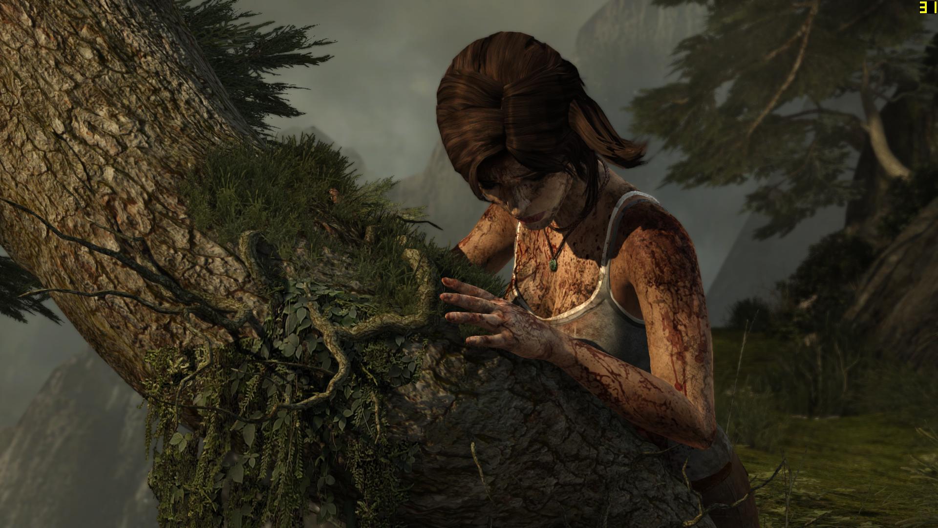 TombRaider 2013-08-24 06-19-14-27.jpg
